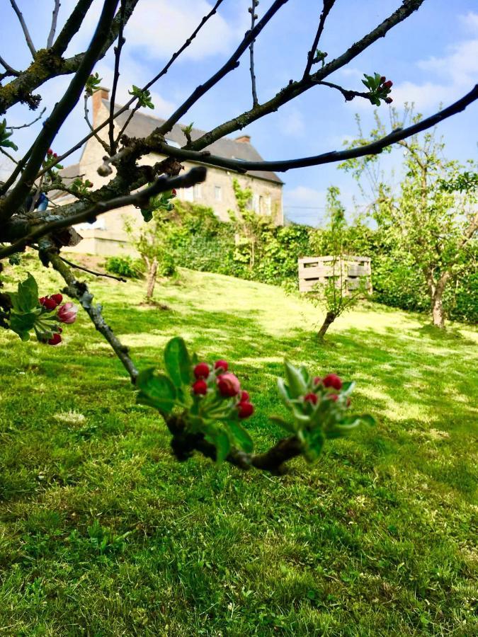 Gite La Petite Beurrerie Des Ardennes Celles  Eksteriør billede