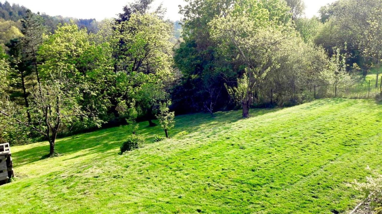 Gite La Petite Beurrerie Des Ardennes Celles  Eksteriør billede