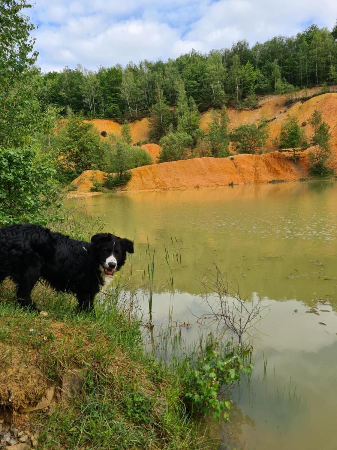 Gite La Petite Beurrerie Des Ardennes Celles  Eksteriør billede