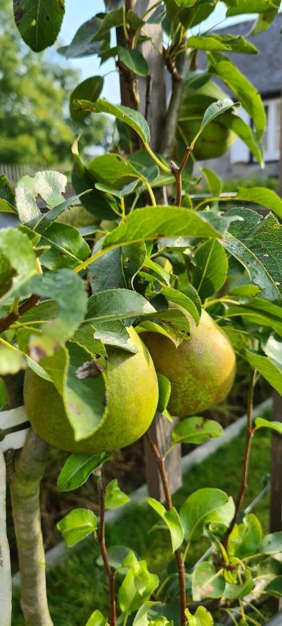 Gite La Petite Beurrerie Des Ardennes Celles  Eksteriør billede