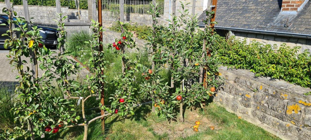 Gite La Petite Beurrerie Des Ardennes Celles  Eksteriør billede