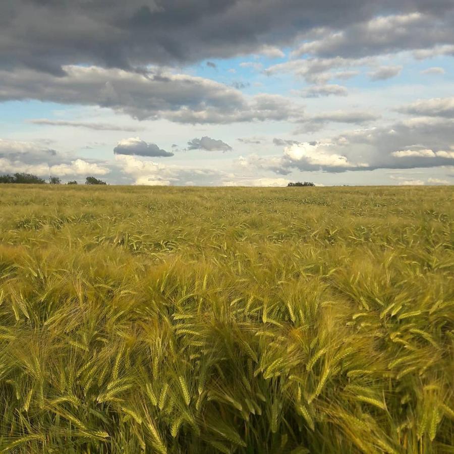 Gite La Petite Beurrerie Des Ardennes Celles  Eksteriør billede