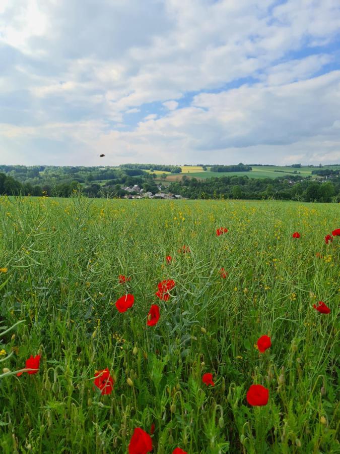 Gite La Petite Beurrerie Des Ardennes Celles  Eksteriør billede