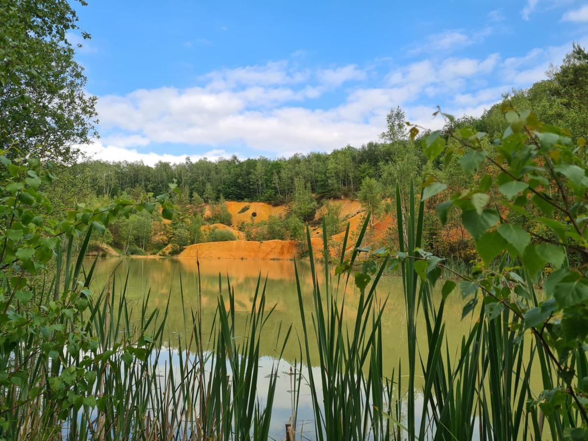 Gite La Petite Beurrerie Des Ardennes Celles  Eksteriør billede